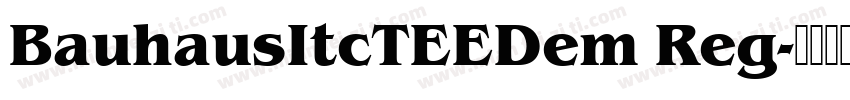 BauhausItcTEEDem Reg字体转换